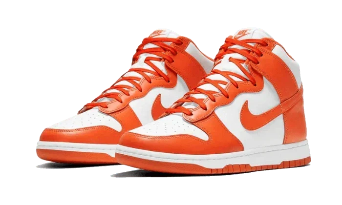 Nike Dunk High Shoes
